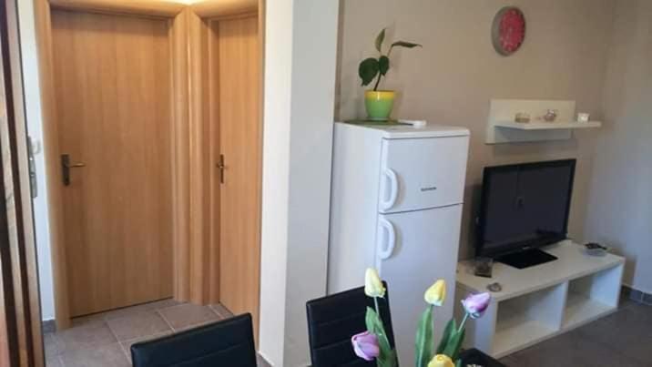 Apartment Dukic Sveti Filip i Jakov Εξωτερικό φωτογραφία