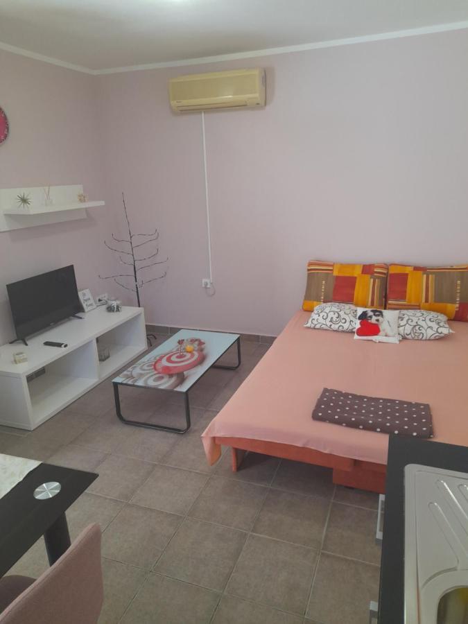 Apartment Dukic Sveti Filip i Jakov Εξωτερικό φωτογραφία