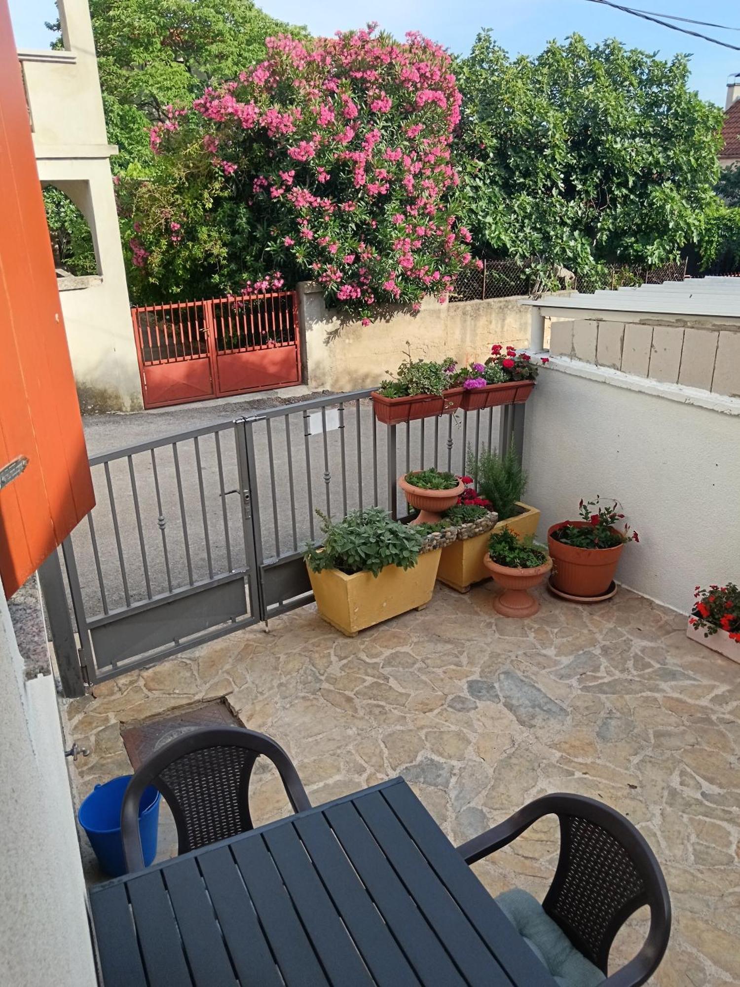 Apartment Dukic Sveti Filip i Jakov Εξωτερικό φωτογραφία