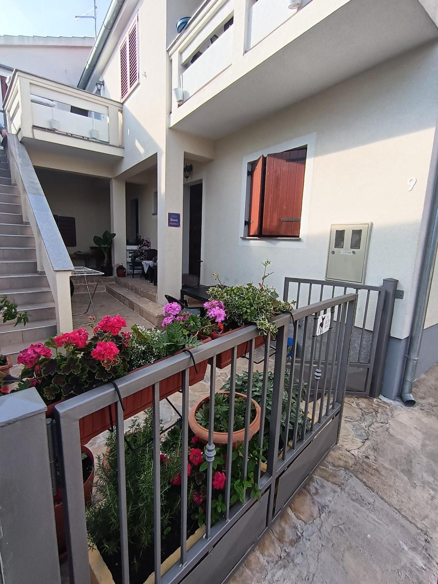 Apartment Dukic Sveti Filip i Jakov Εξωτερικό φωτογραφία